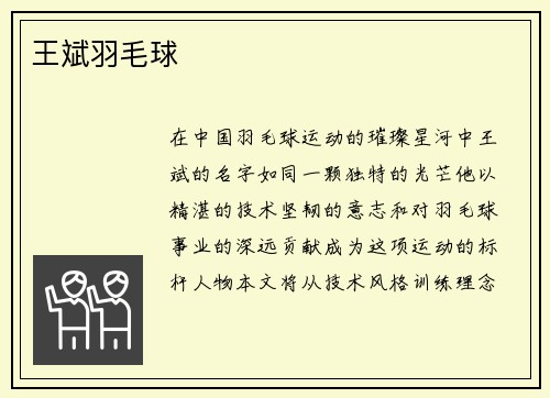 王斌羽毛球