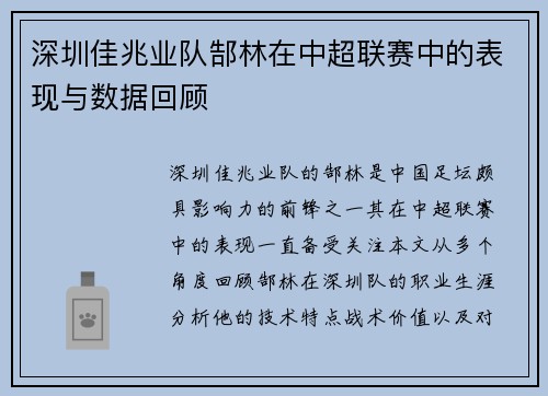 深圳佳兆业队郜林在中超联赛中的表现与数据回顾